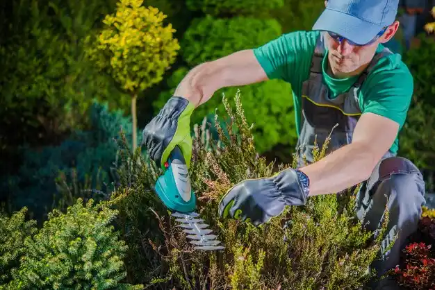 landscaping services Airport Drive